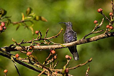 《战地6》游戏与现实场景对比视频 还原度很惊人！